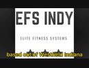 Elite Fitness Systems