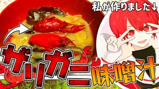 【自由研究】Vtuberだけど川で捕ったザリガニを味噌汁にして食べてみた！！