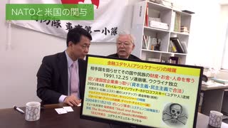 自然共生党サブチャンネル 第１弾 ウクライナ情勢の真相