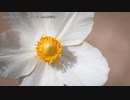 【ニコカラ】ヒューマンエラー【offvocal】