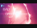 Bad Day【Cover】/  Vll
