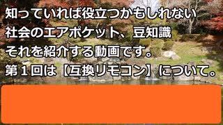 【お燐とジェガンの社会のエアポケット】その１　『互換リモコン』。