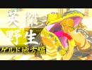 【実況】英傑 vs 野生｜ゲルド地方編 前編 【ゼルダの伝説 ブレス オブ ザ ワイルド】