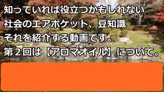 【お燐とジェガンの社会のエアポケット】その２　『精油と蒸散器を少し』。