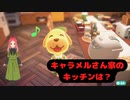 【ハッピーホームパラダイス】　第四十四幕　甘そうな人気住民のためにキッチンを作ろう～