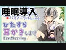 【ASMR/ダミーヘッドマイク】本気で眠りたい人のためのじっくり奥まで耳かき 2022.6.1【にじさんじ/鈴木勝】