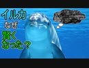 イルカはなぜ知能を獲得したのか／イルカの進化について【ゆっくり解説】