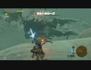 モルドラジーク狩りじゃぁ～【ゼルダの伝説 BOTW 300% 攻略】
