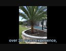 ProGreen Landscaping and Pavers