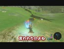 【ゆっくり実況】8日目:ゼルダの伝説ブレスオブザワイルド弓縛り実況。