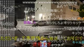 七原くん2022/06/11 移動・深夜の外来種散策【ウチハサボン】①