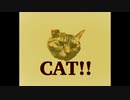 CAT！！【DTM・オリジナル曲】