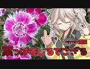 2022年6月10日　農作業日誌P291　やっぱり出荷作業の一日　VOICEVOX　MYCOEIROINK
