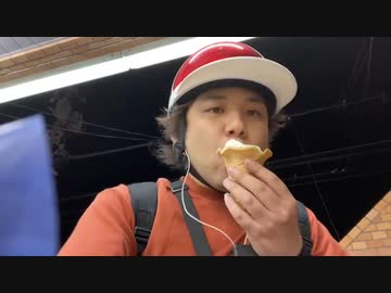 #七原くん 20220611「移動・深夜の外来種散策【ウチワサボテン】」米無(途中アイスクリームも食す)