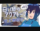 【水族館×アニメ】#04 白い砂のアクアトープの生き物紹介