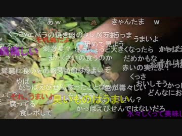 #七原くん 20220611「深夜の外来種散策【ウチワサボテン】」2/3 米有HD版(途中サボテンのトゲが刺さるハプニングも)