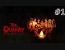【クアリー　悪夢のサマーキャンプ#1】なあ、バタフライエフェクトって知ってる？【THE QUARRY】