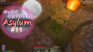 【Minecraft】ゆったりゆとりクラフトAsylum # 11