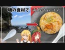 ゆっくりは海岸の食材で炒飯を作ります