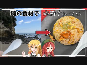 ゆっくりは海岸の食材で炒飯を作ります