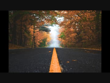 秋の通り道【フリー音源】