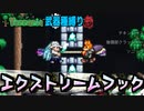 【装備共有テラリア日常編】ーフックの遊び方編― 初心者を連れ絶体絶命な縛りで世界侵攻　日常編#48【実況】