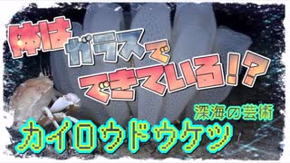 深海の芸術品 カイロウドウケツ【ゆっくり解説】