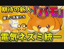 【実況】ポケモン剣盾 新世代電気ネズミ参戦記念の統一パでたわむれる