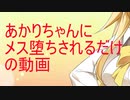 【ソフトウェアトークメス堕ち祭】あかりちゃんにメス堕ちされるだけの動画