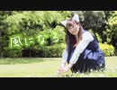 【ごんごん】風になる 踊ってみた【まだ春！】