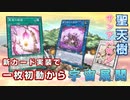 【遊戯王マスターデュエル】新パックで追加された一枚のカードで、サンアバロンが一枚初動からの宇宙展開を獲得しました。