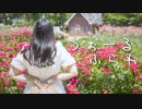 【おとみ】うぉーるふらわ【踊ってみた】