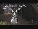 Elder Scrolls Online＃20