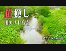 涼しい北海道の川の音で癒される　癒し・瞑想・安眠・作業用に 【リラックス動画】
