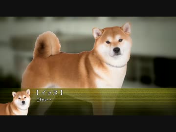 せっかちな攫われ方をするシリアスできないゴミどものクトゥルフLast【実卓リプレイ】