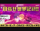 【実況】アラサー夫婦が全力で楽しむ星のカービィディスカバリー！＃10