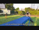A-Z Canine Training