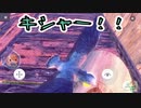 【Hatoverse】ハトは日陰でもっふり丸くなって座ってるのが好きです。