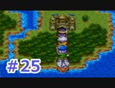 【実況】勇者の子供だったので冒険してみた DQ3【part25】