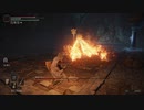 【ELDEN RING実況】 vs還樹の番犬 part18