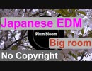 [フリーBGM] 和風EDM, ビッグルーム，楽しい，かっこいい｜Plum Bloom {Prod. by tcyk}