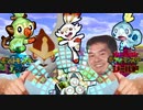 戦闘オォン！野生ポケモン inガラル.mp3