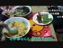 【ずいえき】2022/06/10　親子丼作る