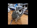 コノハちゃんを飼ってみた