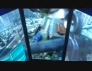 戦場の絆Ⅱ　メサなんとか522