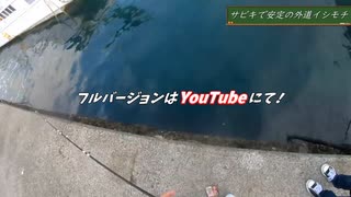 ２度目の海釣り②