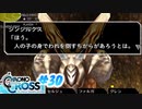 クロノ・クロスを懐かしみながらプレイ#30