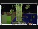 ⌘プレイアーカイブ⌘ Minecraft 2nd lap その13