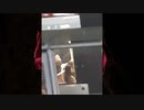 who you wanna kill "あなたが殺したい人"
