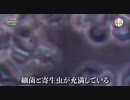 8種類ほどの寄生虫がいて 卵を産んでいる